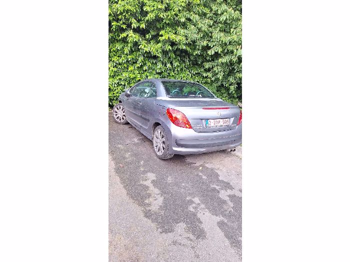 Auto 140257-12.jpg